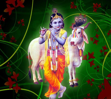 Information about Krishnashtakam is a popular Hindu chant on Lord   Krishna is comprised of eight slokas.